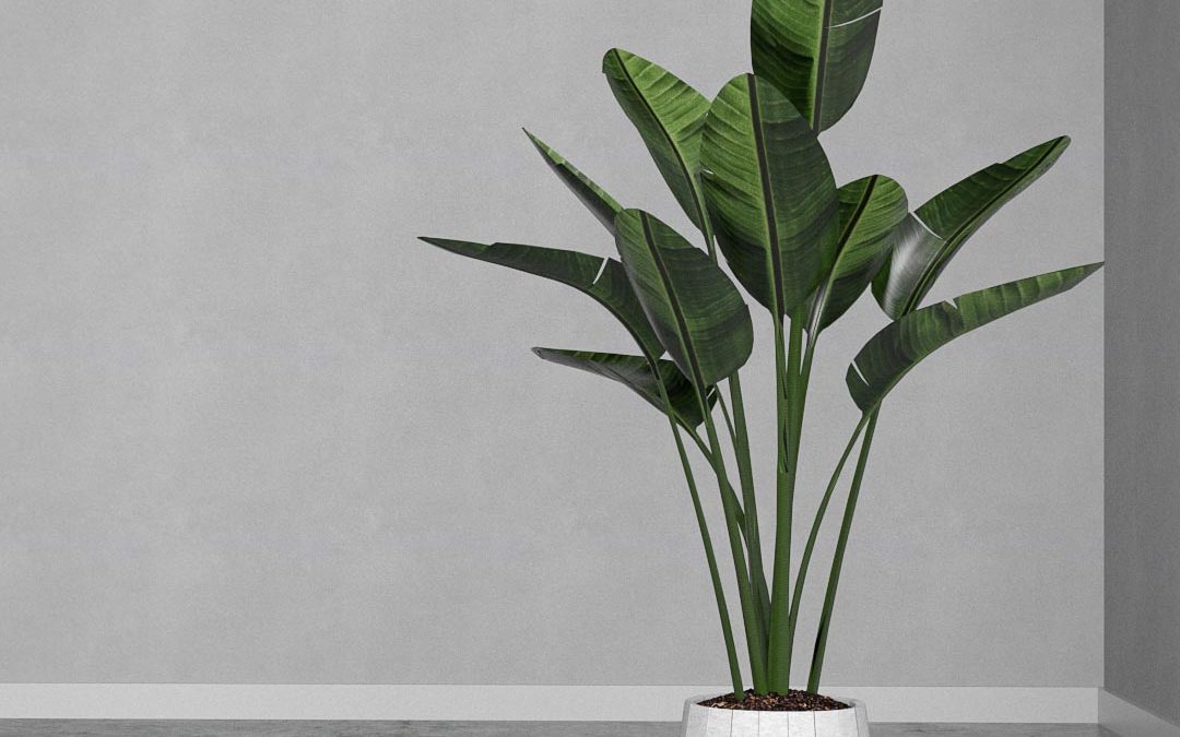 Cómo configurar vegetación en Vray Next para Sketchup